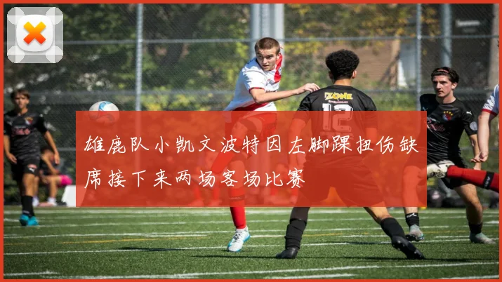 雄鹿队小凯文波特因左脚踝扭伤缺席接下来两场客场比赛